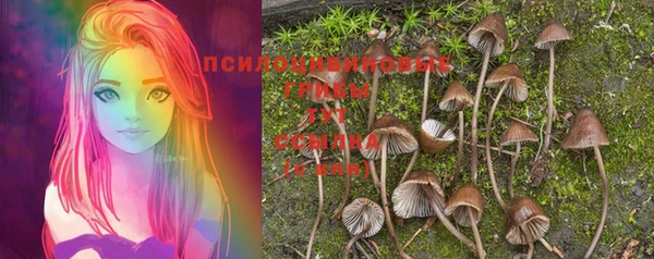 первитин Вязники