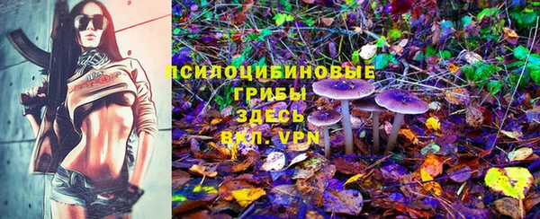 прущие крисы Волоколамск
